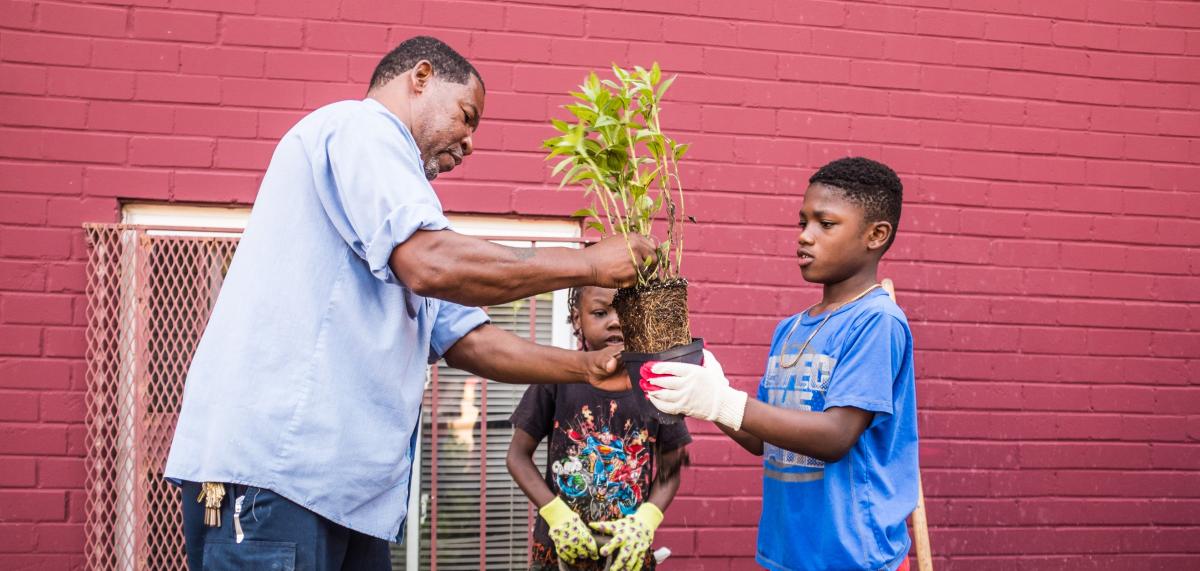 Adult handing a seedling to a child in a community space