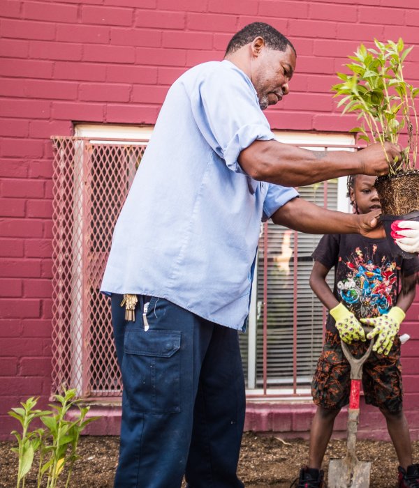 Adult handing a seedling to a child in a community space